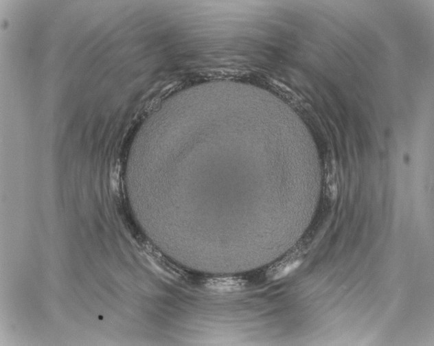 X0000061730231200512302154