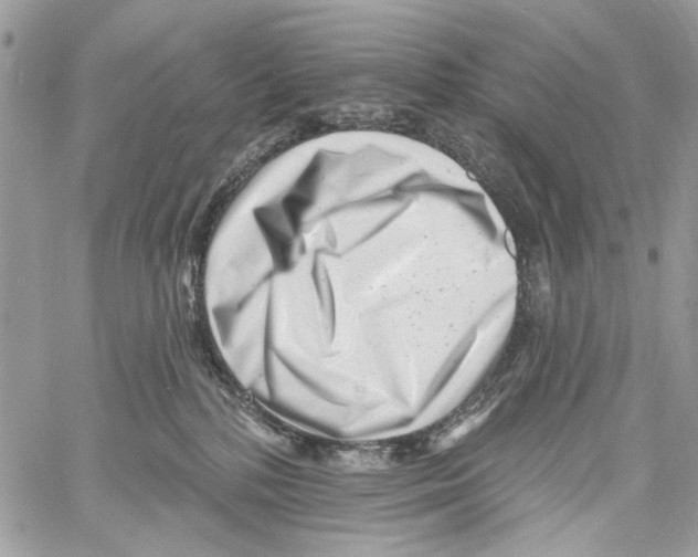 X0000061730232200512302154