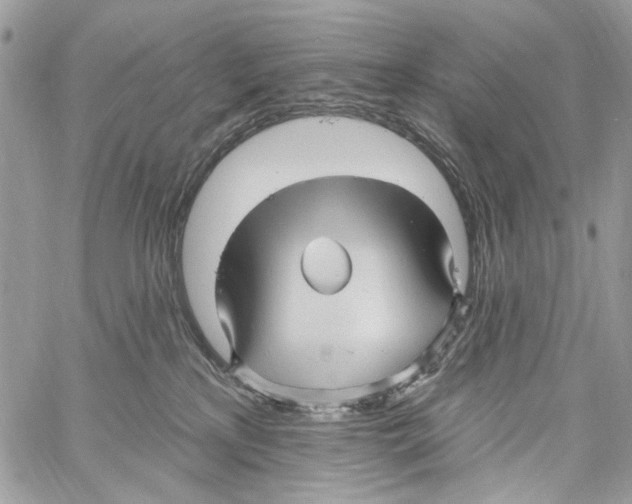 X0000061730233200512302154