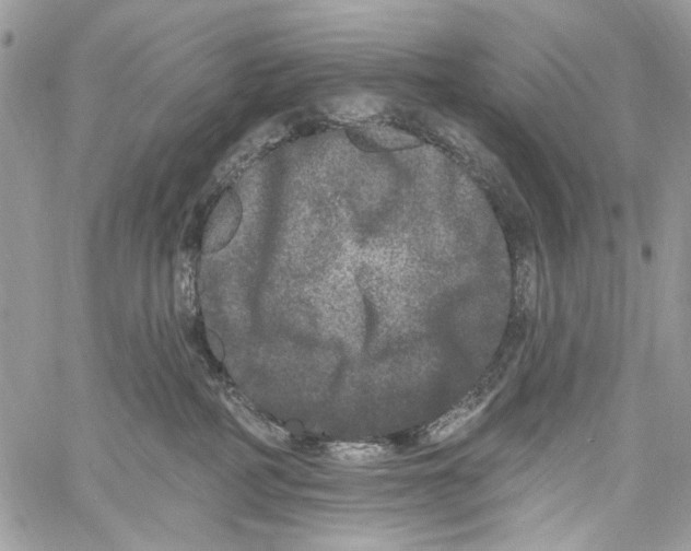 X0000061730234200512302154