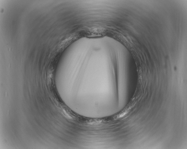 X0000061730235200512302154