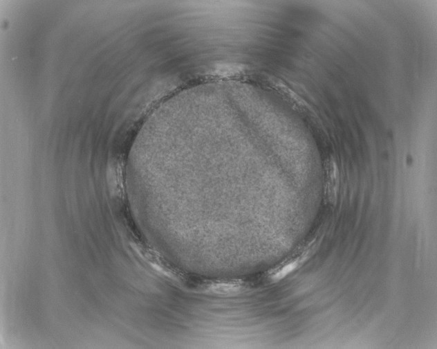 X0000061730236200512302154