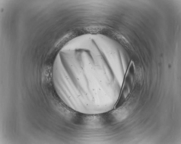 X0000061730237200512302154