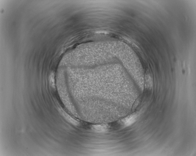 X0000061730238200512302154