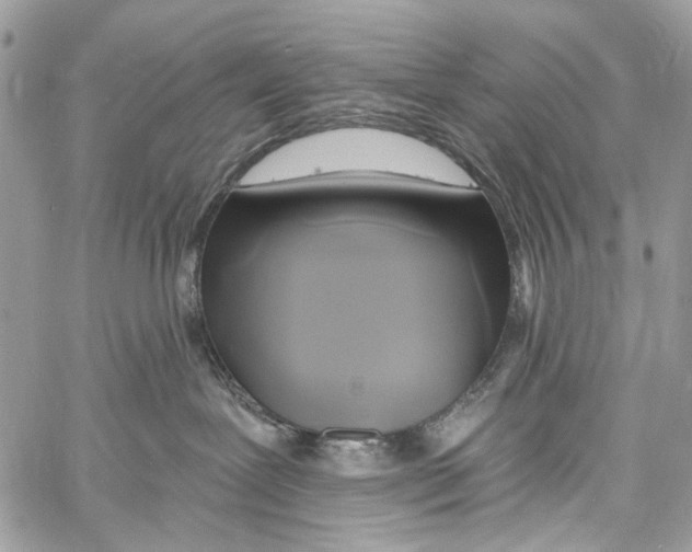 X0000061730239200512302154