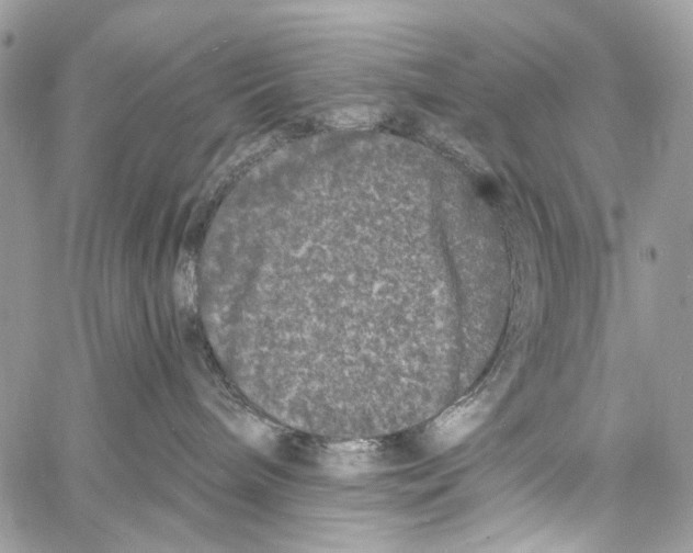 X0000061730240200512302154