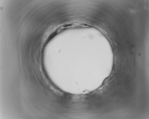 X0000061730241200512302153