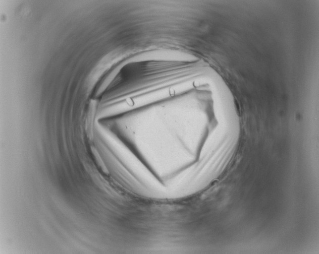 X0000061730242200512302153