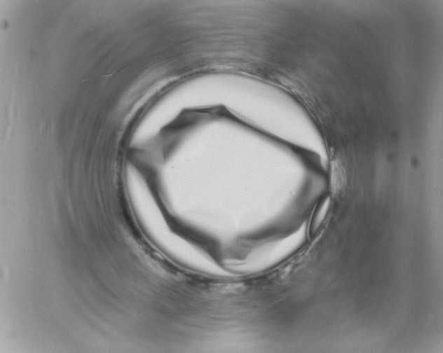 X0000061730243200512302153