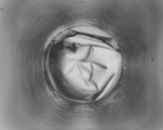 X0000061730244200512302153