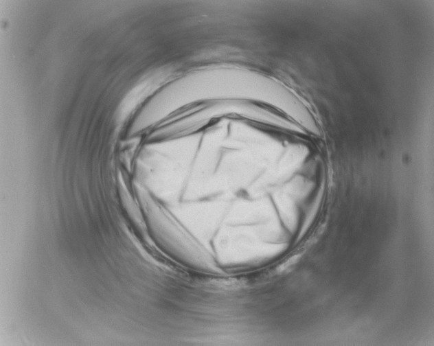 X0000061730245200512302153