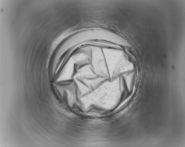 X0000061730246200512302153