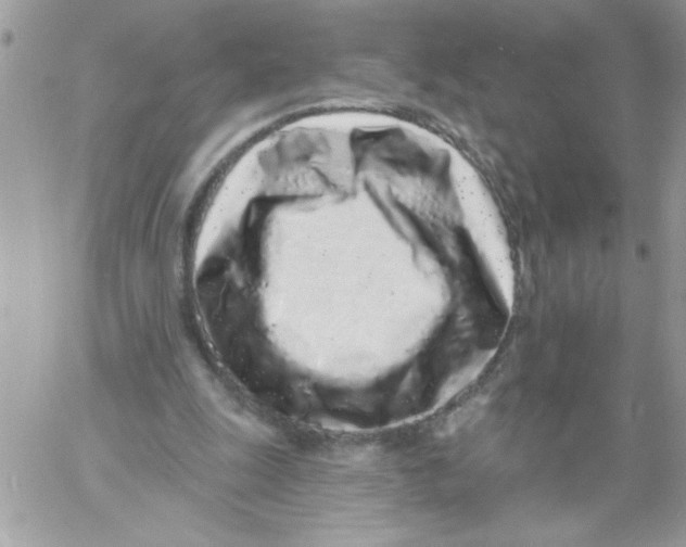 X0000061730247200512302153