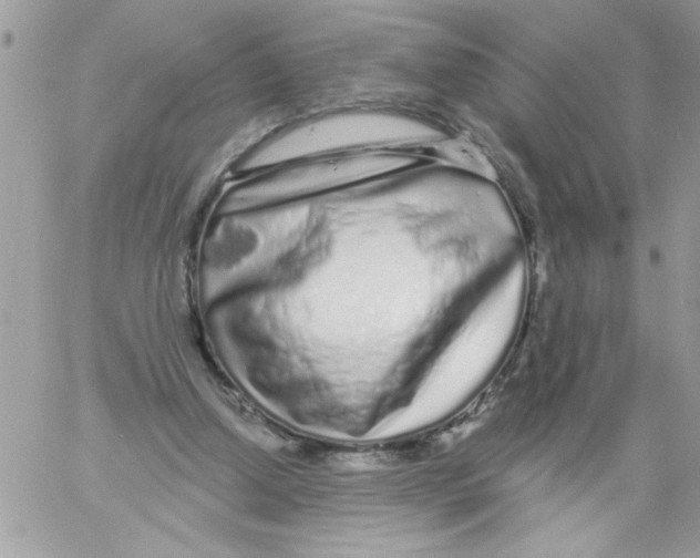 X0000061730250200512302153