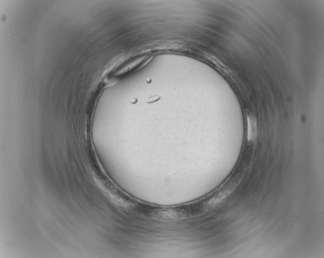 X0000061730253200512302153