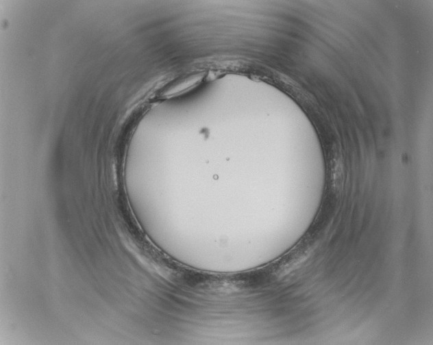 X0000061730254200512302153