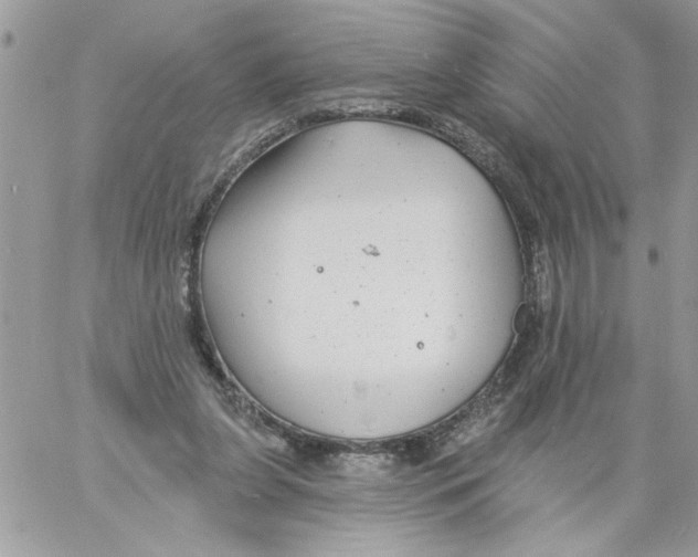 X0000061730255200512302153