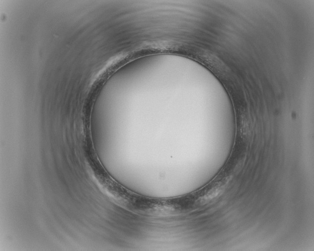 X0000061730256200512302153