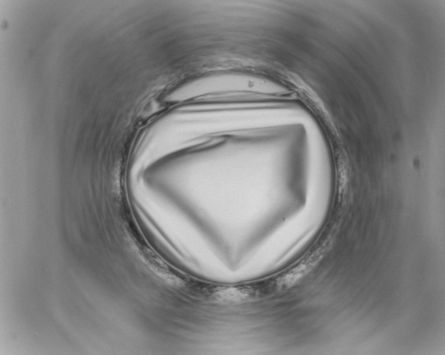 X0000061730257200512302153