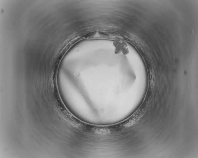 X0000061730258200512302153