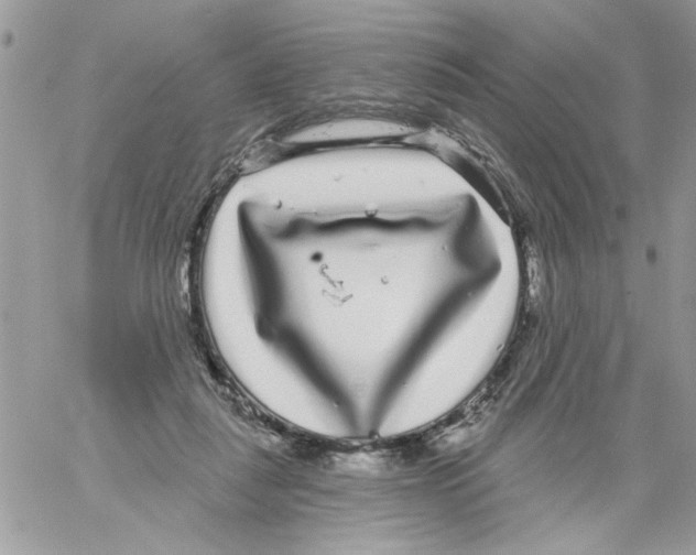 X0000061730259200512302153