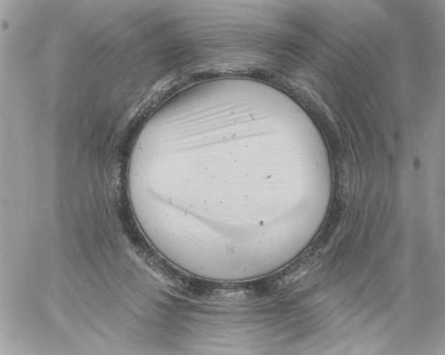 X0000061730260200512302153