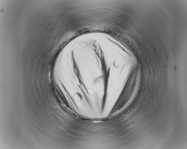 X0000061730261200512302153