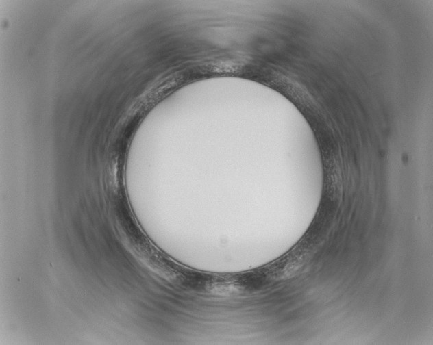 X0000061730262200512302153