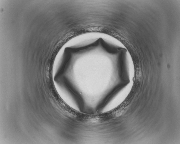 X0000061730263200512302153