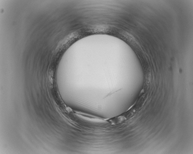 X0000061730264200512302153