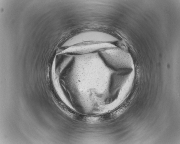 X0000061730265200512302153