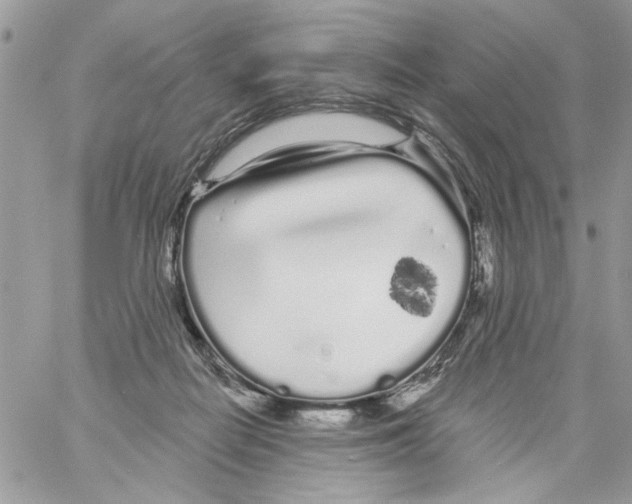 X0000061730266200512302153