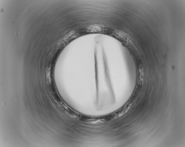 X0000061730267200512302153