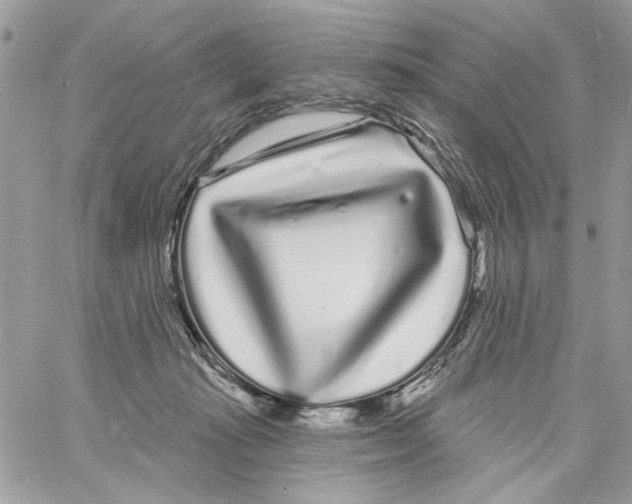 X0000061730269200512302153