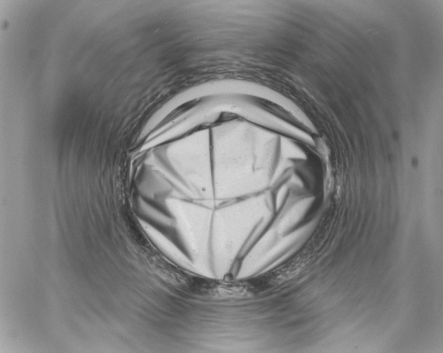 X0000061730270200512302153