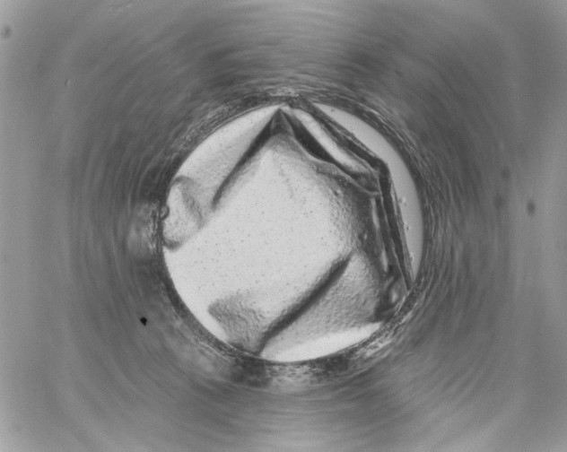 X0000061730273200512302153