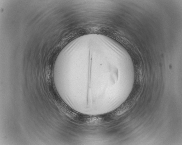 X0000061730274200512302153