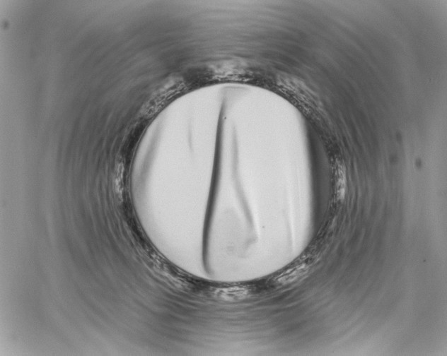 X0000061730275200512302153