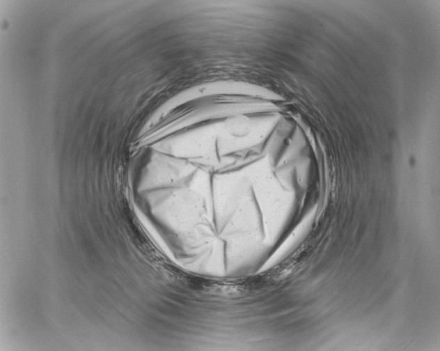 X0000061730276200512302153