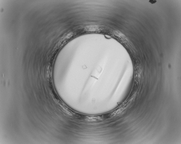 X0000061730277200512302153