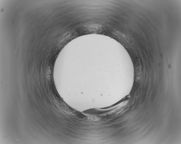 X0000061730279200512302153