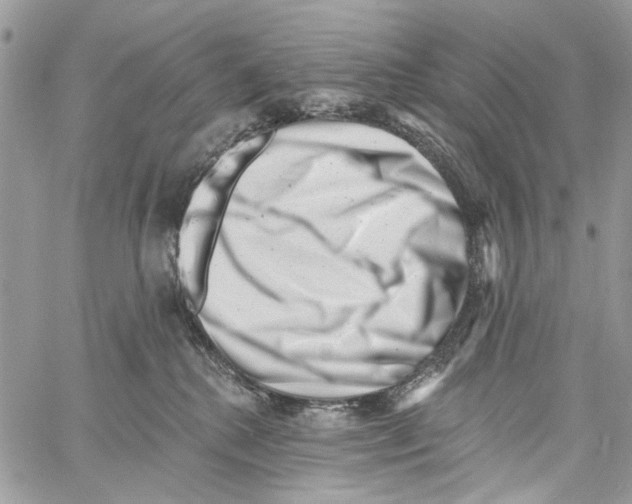 X0000061730280200512302153