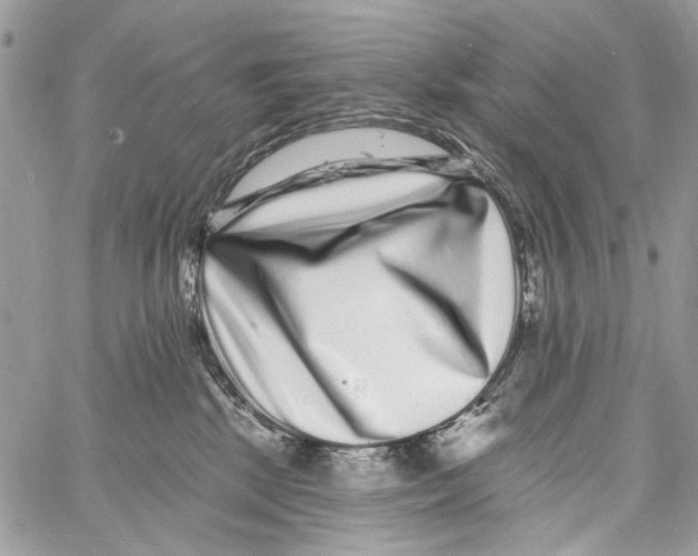 X0000061730281200512302153