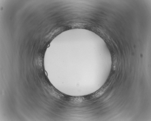 X0000061730282200512302153