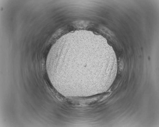 X0000061730283200512302153