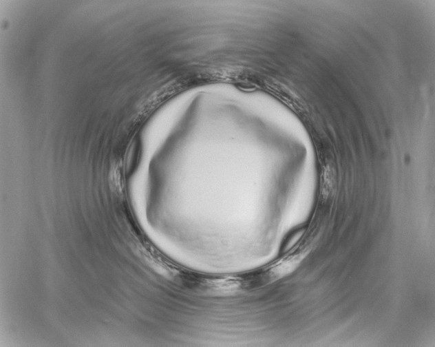 X0000061730286200512302154