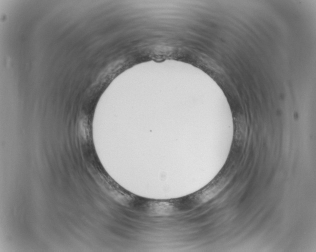 X0000061730287200512302154