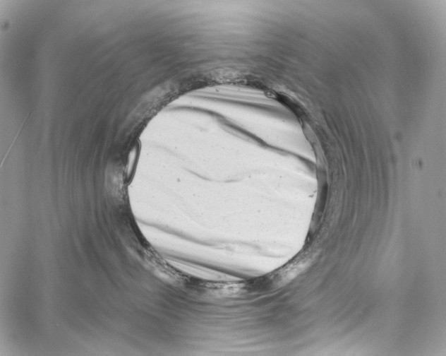 X0000061730288200512302154