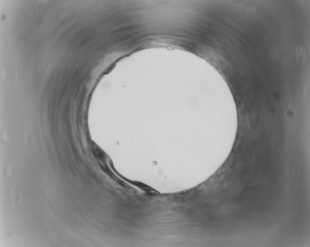 X0000061730289200512302153