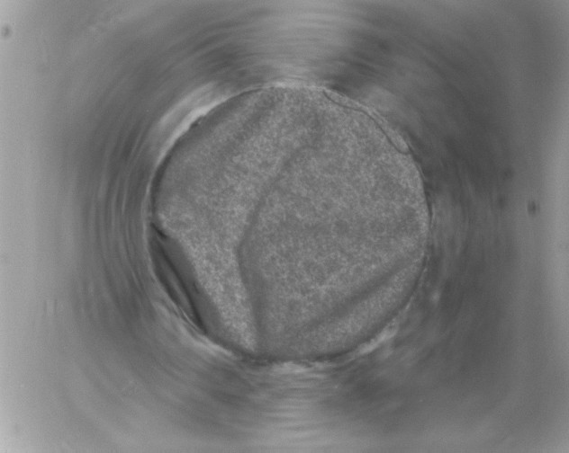 X0000061730290200512302153